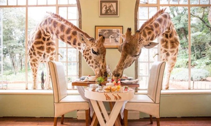 Nairobi Casa | Casa de huéspedes LEON VILLAS