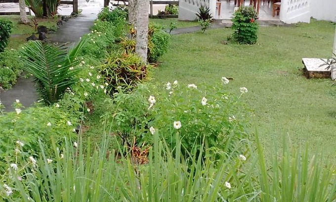 Kribi Apartamento | Les baleines