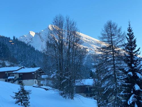 La Clusaz Apartamento | Les bouquetins