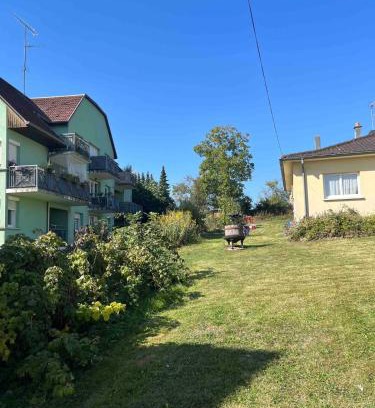 Brunstatt-Didenheim Apartamento | Les chambre de Marie Appartement Rez de chaussé