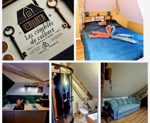 Old Town Apartamento | Les Combles de Colbert- hyper center