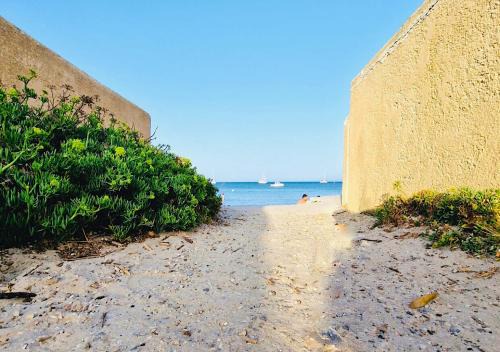 La Capte Apartamento | Les flamants Roses la Capte Clim 4pers 100m plage