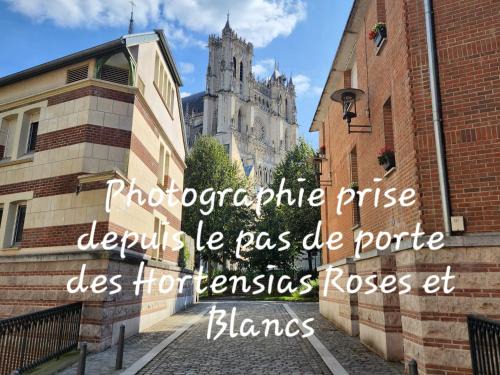 Saint-Leu Apartamento | Les Hortensias Roses Duplex