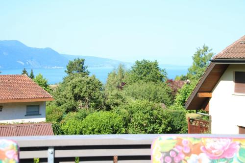 Blonay Apartamento | Les Narcisses