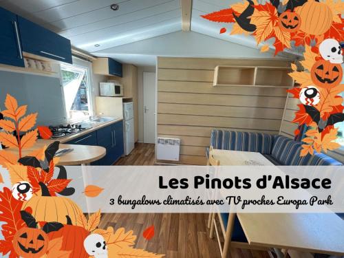 Boofzheim Cama Y Desayuno | Les Pinots d'Alsace - 3 bungalows climatisés avec TV - Proche Europa Park
