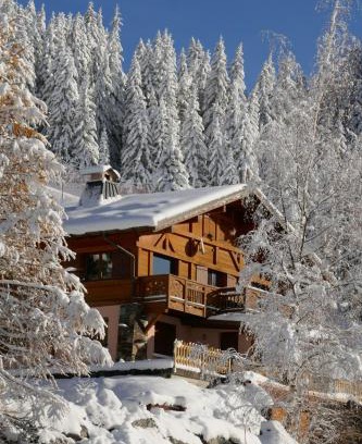 Les Saisies Apartamento | Les Saisies côté Bisanne appartement dans chalet LE Népal