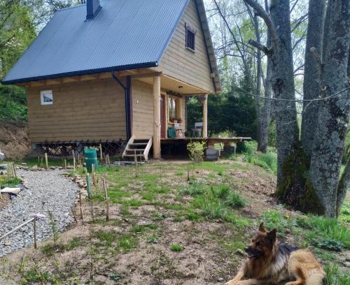 Dwernik Chalet De Esquí | LESZCZYNOWY STOK