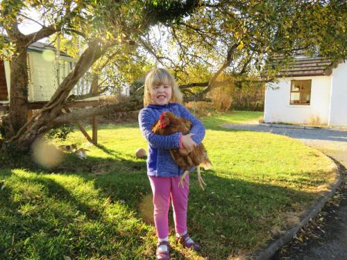 Letterfrack Casa | Letterfrack Farm Cottage in village on a farm beside Connemara National Park