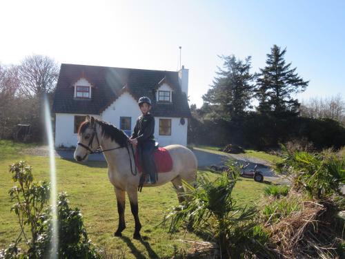 Letterfrack Casa | Letterfrack Farmhouse on equestrian farm in Letterfrack beside Connemara National Park