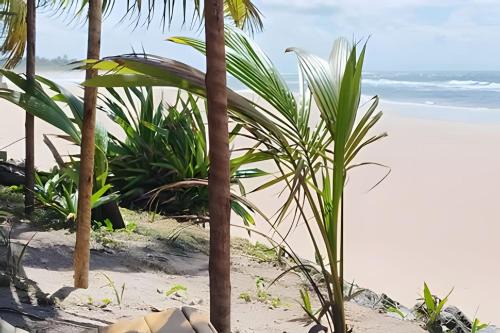 Marau Casa | Licuri Praia de Algodões