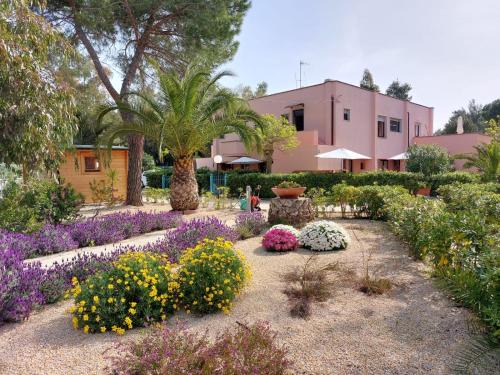 Lido di Capoliveri Apartamento | Lido I Palmizi