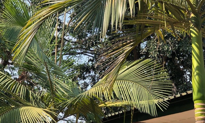 Kitwe Casa | Lifesong Lodge