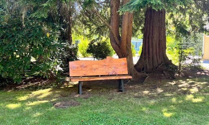 Lake Stevens Cabaña | Light & Bright Modern Cottage with WiFi in charming Lake Stevens