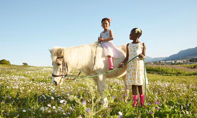 Cape Town Cabina | Lighthouse Farm Backpackers Lodge