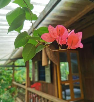 Dak Mil Casa | Lily's Stone Garden Farmstay