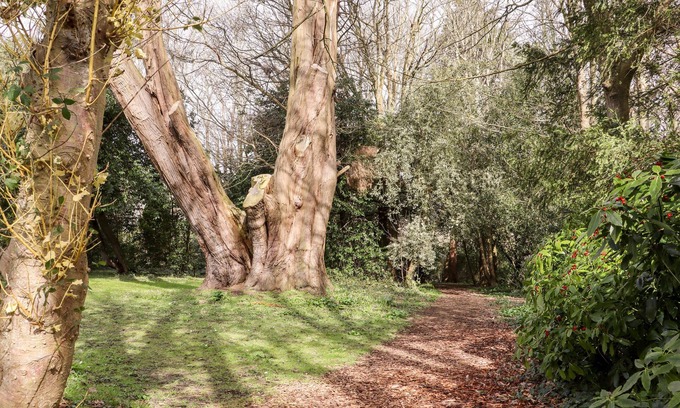 Pevensey Cabaña | Lilyrose Cottage
