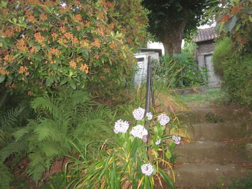 Limoges Apartamento | LIMOGES,joli appart !