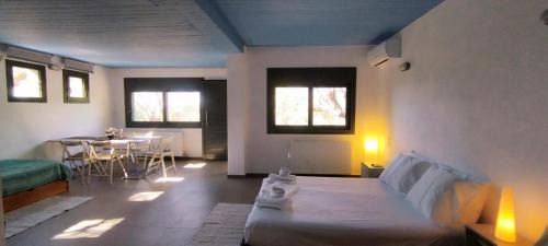 Pylos-Nestoras Apartamento | LIOFYTO - Stylish Villa with views to Foinikounda bay downstairs studio