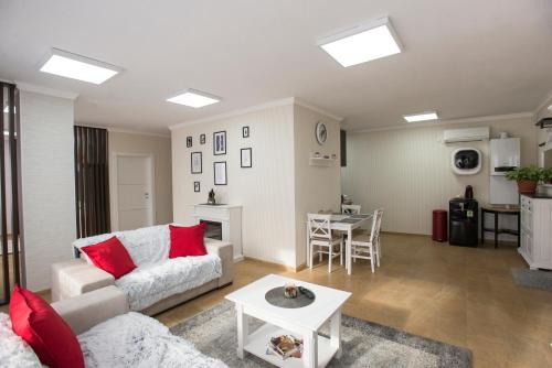 Satu Mare Apartamento | Lira Holiday Apartments
