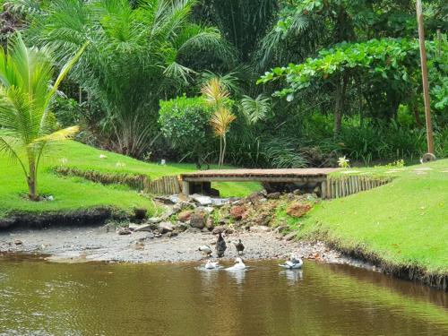 Entre Rios Casa | Litoral Norte Jacuípe Guarajuba