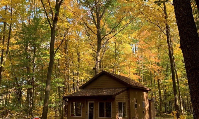 Mosherville Cabina | Little Cabin in the Woods - Quiet