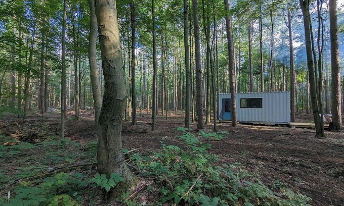 Langton Cabina | Little Can in the Pines - Bunkie No. 2
