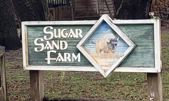 Perry Casa | Little Fish House Casita de Peces Sugar Sand Farm