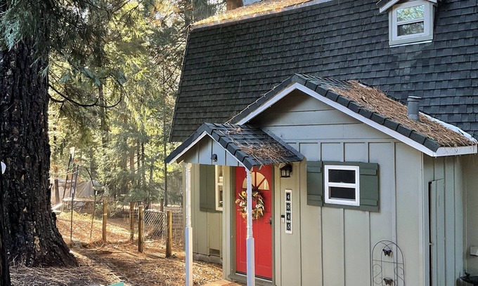 Placerville Cabina | Little Green Cabin by Apple Hill/Sly Park/Wineries/Tahoe/Hiking