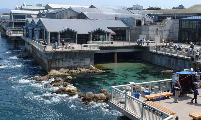 Monterey Cabaña | Little Jewel Box, votado como el mejor alquiler de Monterrey, a 12 cuadras del océano