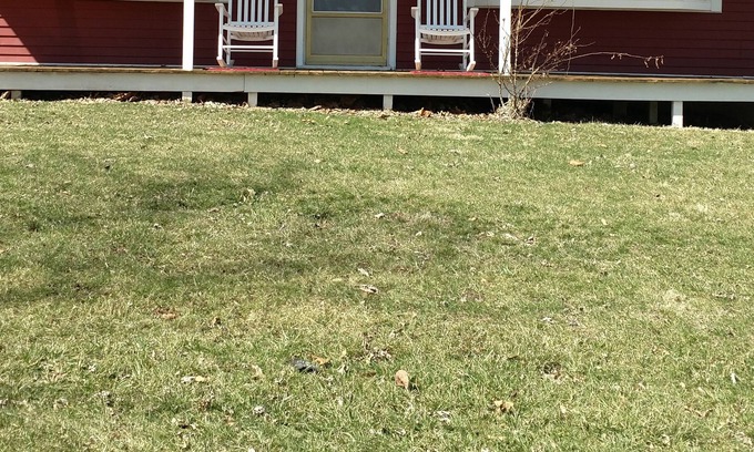 Ipava Cabina | Little Red cabin by The Spoon River