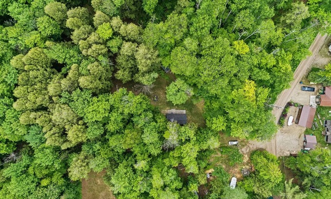 Carp Lake Cabina | Little Red - Charming and Close to Mackinac Island Ferry