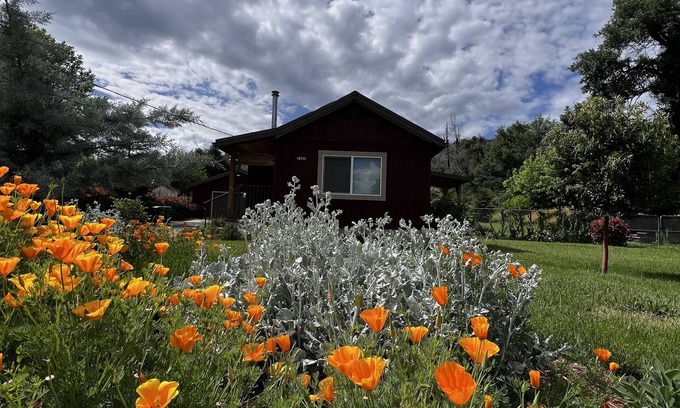 Shasta Cabina | "Little Red House" - Casa linda, acogedora y rústica en Old Shasta histórico