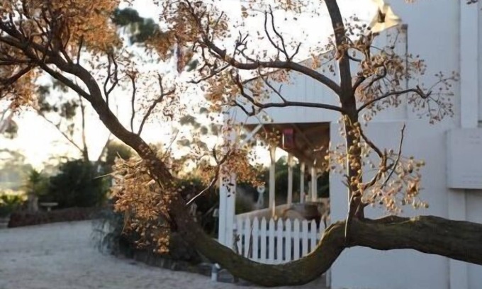 Little River Cama Y Desayuno | Little River Bed & Breakfast