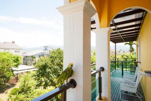 Dongshan Casa | Little Sunshine