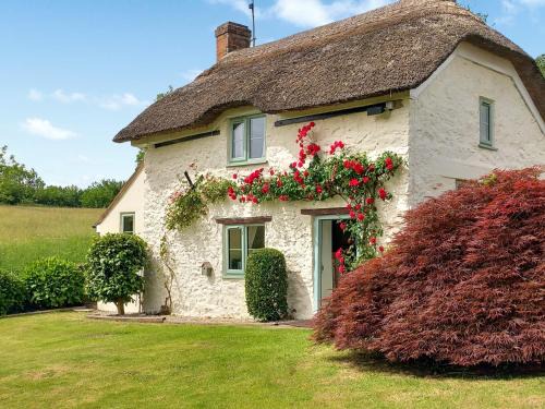 Bridport Casa | Little Thatch