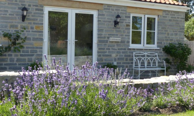 Meare Apartamento | Littlemead - Newly renovated private studio near Glastonbury