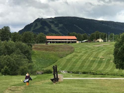 Ljusnedal Apartamento | Ljusnedal lägenhet med golf, paddel, fiske och skidåkning