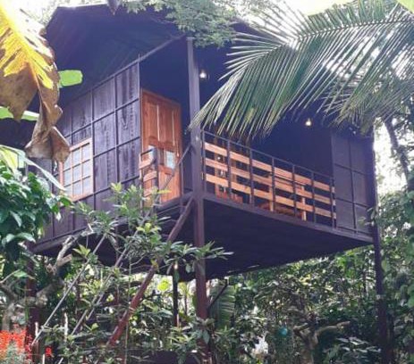 Amalavayal Casa | Lo Adoro Tree Hut Tourist Homestays