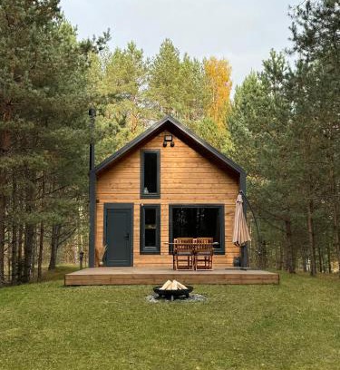 Vilnius County Casa | Local Forest