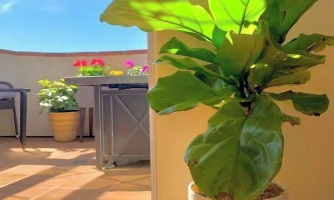 The Mesa Casa | Located in the heart of Mesa w/ peak ocean views
