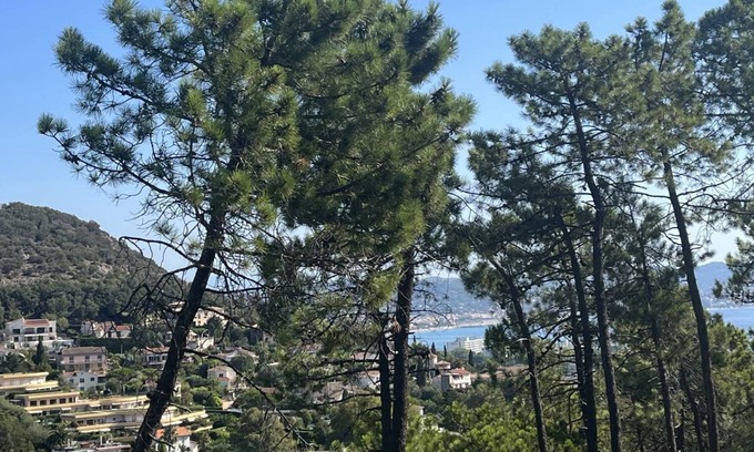La Napoule Casa | Location de Vacances Villa Exceptionnelle Avec Superbe vue Mer