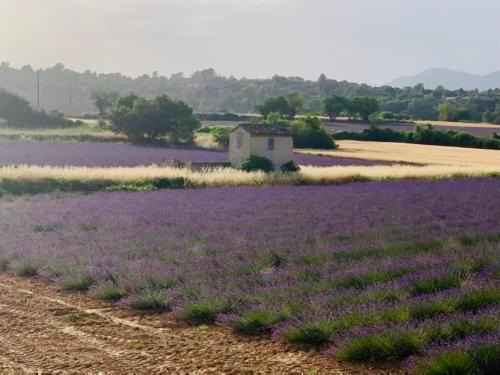 Rians Apartamento | Location de vacances Rians haut Var