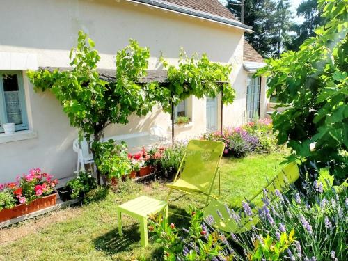 Mazieres-de-Touraine Casa | Location saisonnière: Gîte de charme avec jardin privé, proche des châteaux de la Loire et de la nature - FR-1-381-200
