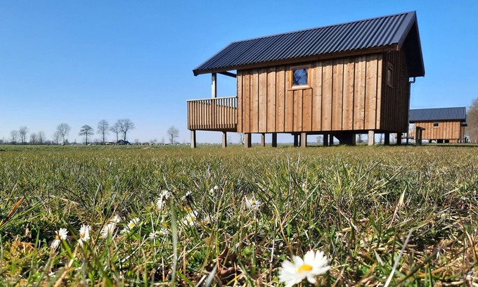 Ruinerwold Casa | Lodge junto a Prados Holandeses con Veranda