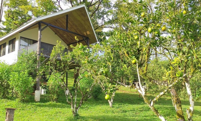 Parrita Casa | Lodge with Private 40ha Jungle Reserve