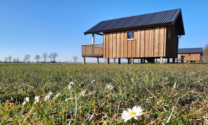 Ruinerwold Casa | Lodges en Drenthe con Vistas a Praderas