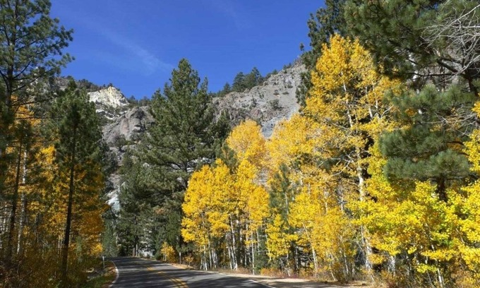 Bear Valley Condominio | Loft Condo w/ Bonus Area - Creekside #7 by Bear Valley Vacation Rentals