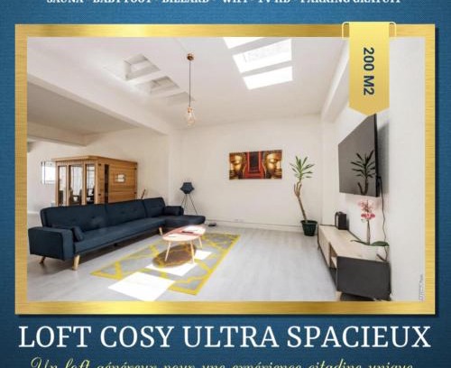 Graulhet Apartamento | LOFT COSY - HYPERCENTRE - SAUNA - 200m2 - WIFI