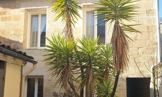 Saint Seurin - Fondaudege Casa | Loft house like in the middle of nature