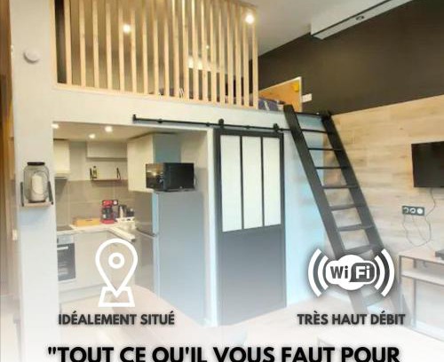 Aix-les-Bains Apartamento | Loft moderne dans un palace bourgeois